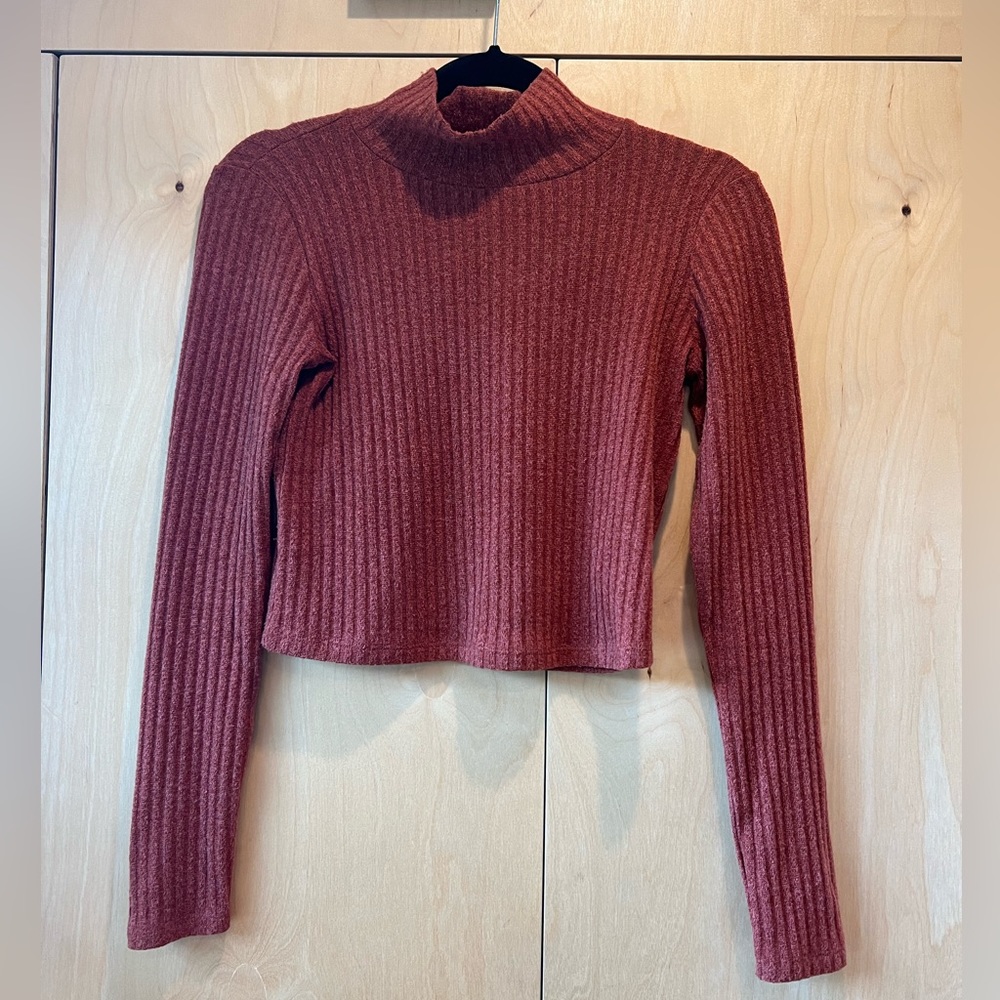 Wilfred Free Aritzia Tamu Turtleneck